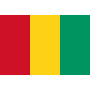 Flag gn icon