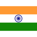 Flag in icon