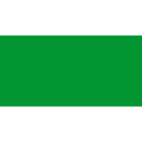 Flag ly icon