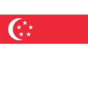 Flag sg icon