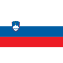 Flag si icon