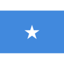 Flag so icon