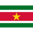 Flag sr icon