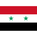 Flag sy icon