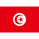Flag tn icon