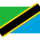 Flag tz icon