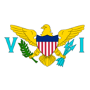 Flag vi icon
