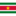 Flag sr icon 16x16