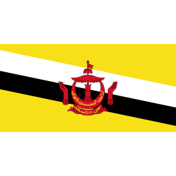 Flag bn icon 256x256