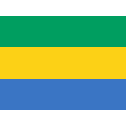 Flag ga icon 256x256