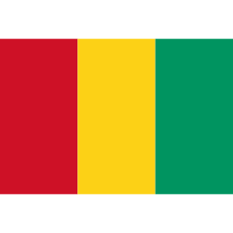 Flag gn icon 256x256