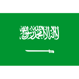 Flag sa icon 256x256