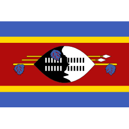 Flag sz icon 256x256