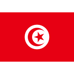 Flag tn icon 256x256