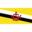 Flag bn icon 32x32