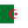 Flag dz icon 32x32