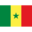 Flag sn icon 32x32