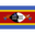 Flag sz icon 32x32
