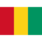 Flag gn icon 48x48