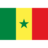 Flag sn icon 48x48