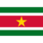 Flag sr icon 48x48