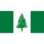 Flag nf icon 64x64