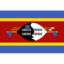 Flag sz icon 64x64