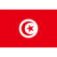 Flag tn icon 64x64