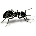 Animals ant icon