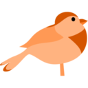 Animals bird icon