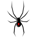 Animals black widow icon