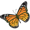 Animals butterfly icon