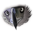 Animals eagle face icon