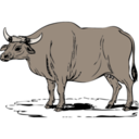 Animals gaur icon