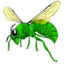 Animals hornet icon