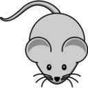 Animals mouse icon
