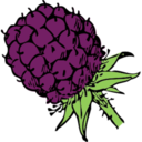 Food blackberry icon