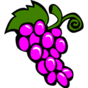 Food grapes icon