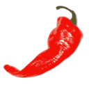 Food peper cayenne red chili pepper icon