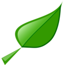 Plant leaf icon