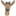 Animals goat head icon 16x16