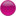 Button purple icon 16x16