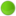 Circle green icon 16x16