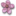 Plant flower apple blossom icon 16x16