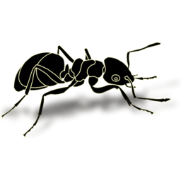 Animals ant icon 256x256