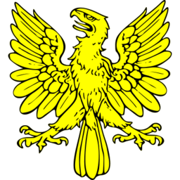 Animals eagle icon 256x256