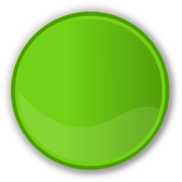 Circle green icon 256x256