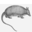 Animals armadillo icon 32x32