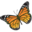 Animals butterfly icon 32x32