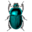 Animals scarabe icon 32x32